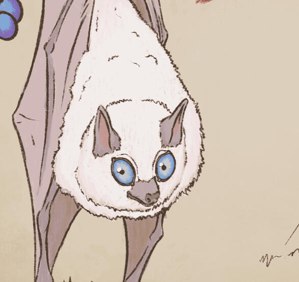 Puffcoat Gardener Bat